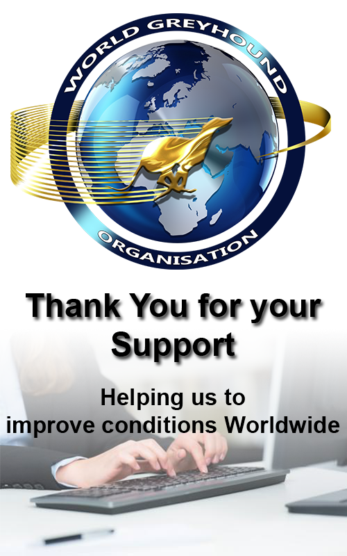 Thank you for your support