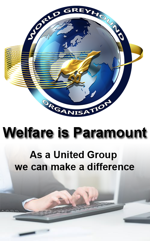 Welfare is paramount